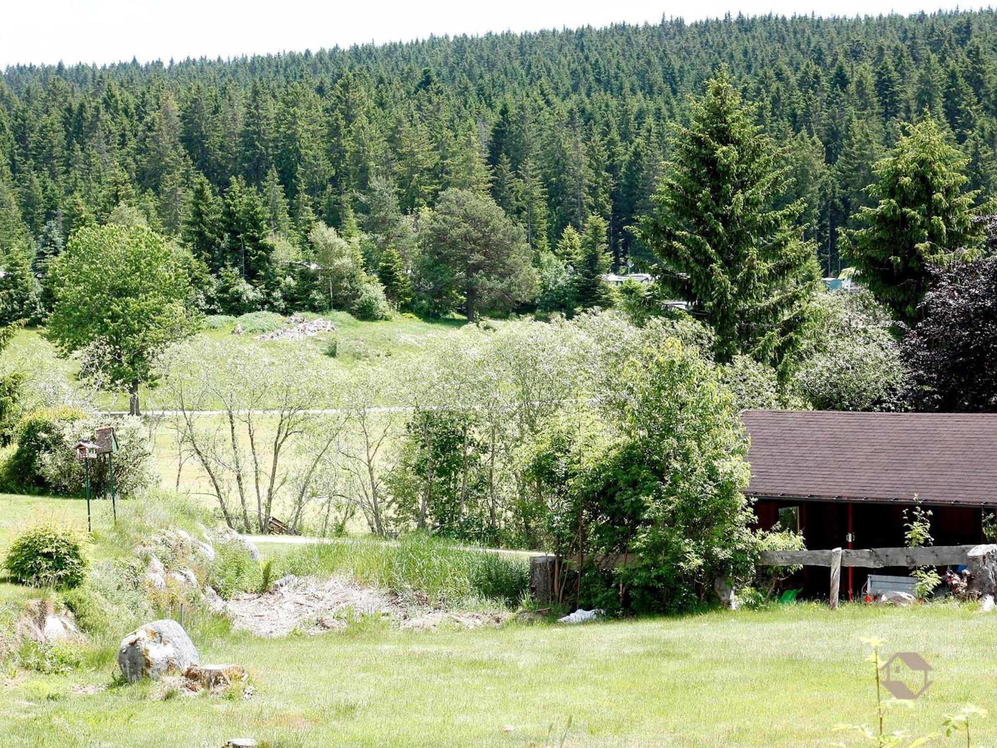 Appartement Haus Doerflinger Frau Marianne à Schluchsee Extérieur photo