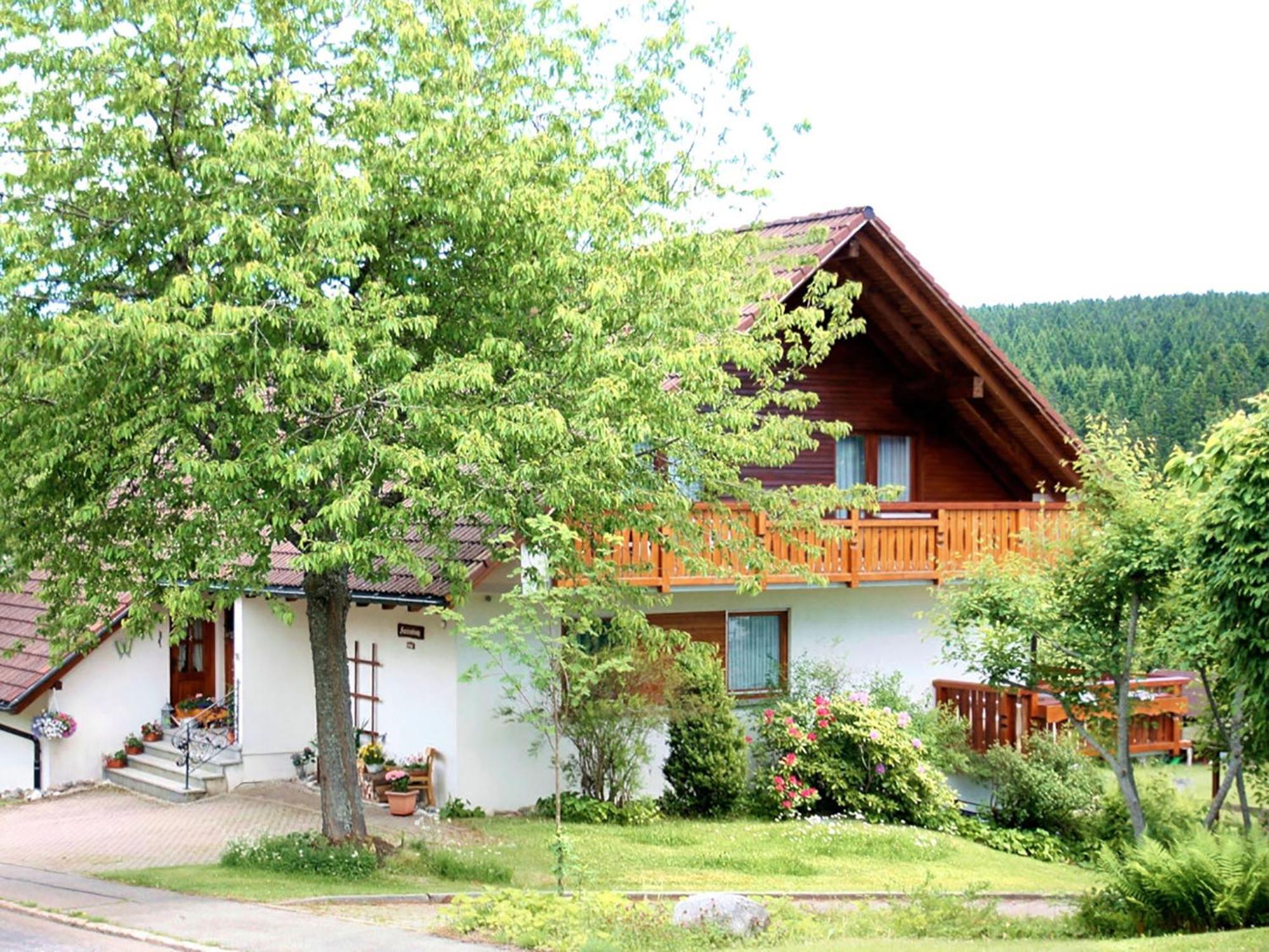 Appartement Haus Doerflinger Frau Marianne à Schluchsee Extérieur photo